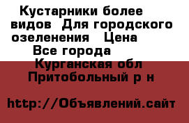 Кустарники более 100 видов. Для городского озеленения › Цена ­ 70 - Все города  »    . Курганская обл.,Притобольный р-н